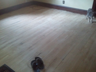 The dining room prepped for staining
